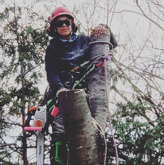 Jabeen, an experienced arborist, wearing personal protective equipment while climbing a tree.